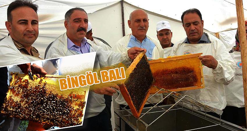 HASAT DÖNEMİ BAŞLADI