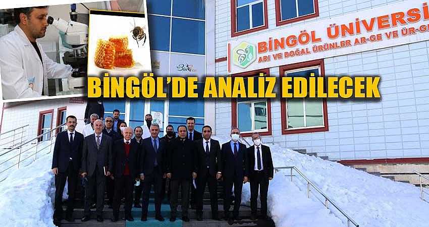 BÖLGE BALLARI BİNGÖL’DE ANALİZ EDİLECEK