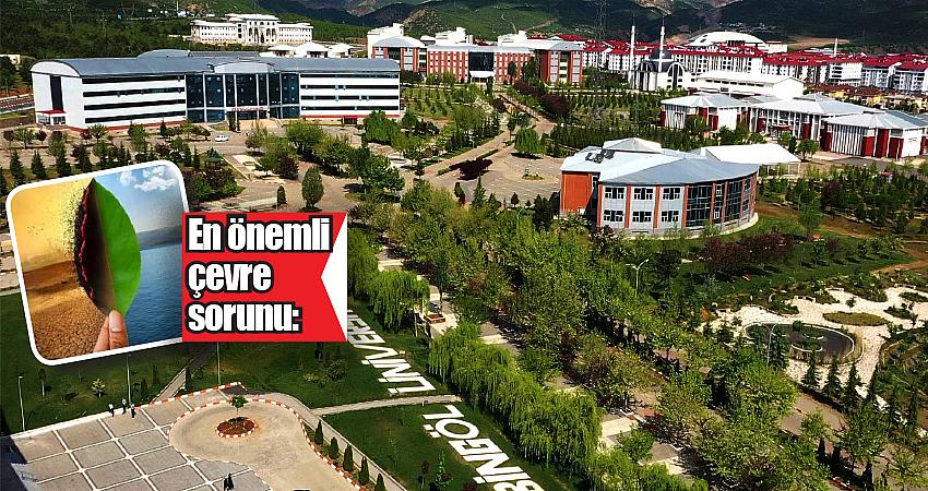 ORMAN, BİTKİ VE HAYVAN TÜRLERİNİN YOK OLMASI