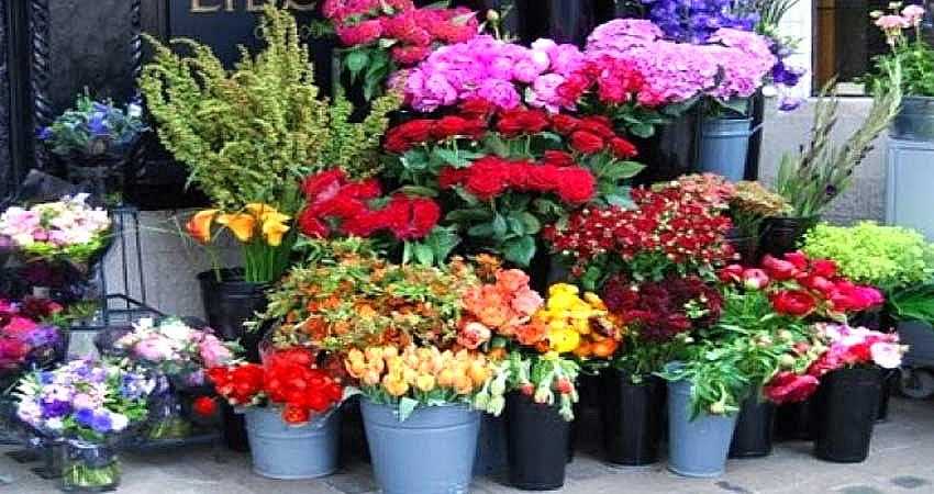 ÇİÇEKÇİLER EVLERE SERVİS YAPACAK