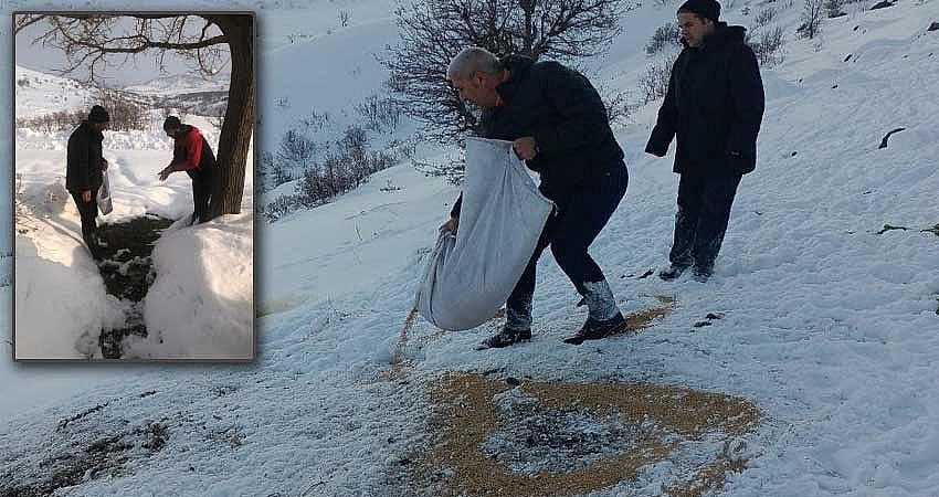  DOĞAYA YİYECEK BIRAKILDI