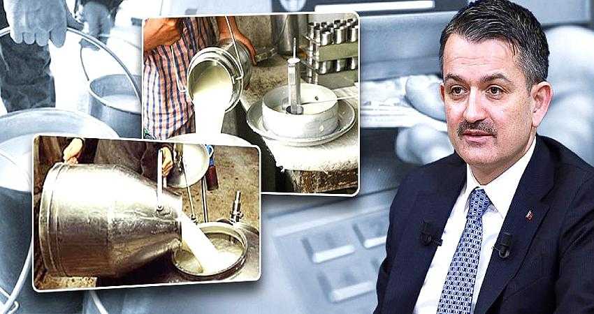 Çiğ Süt Desteği 3 ay erkene çekildi