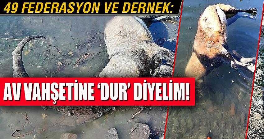 Av cinayetlerine ‘DUR’ diyelim!