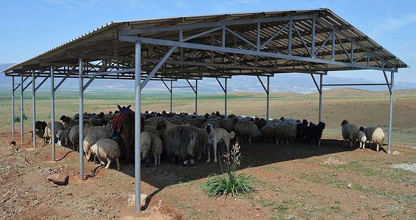 KÖYLERDE HAYVAN GÖLGELİĞİ YAPILACAK