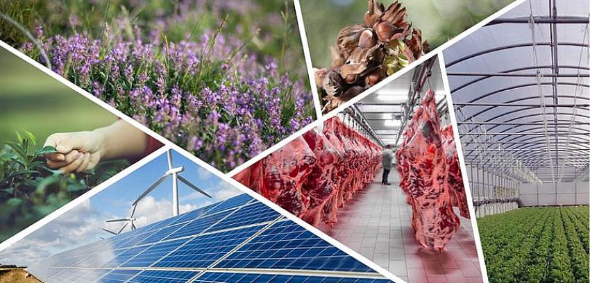 Kırsal Kalkınma Hibe Oranını Yüzde 70'e Çıkıyor