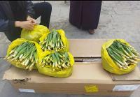 Çiriş Otu (Yeling) Tezgahlardaki Yerini Aldı