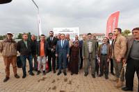 Buğday Tohumu Dağıtıldı