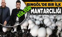 Bingöl’de Bir İlk Kültür Mantarcılığı